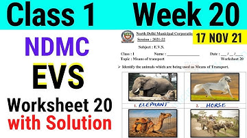 NDMC Class 1 EVS Week 20 Worksheet 20 (17/11/21) || worksheet 20 Class 1st evs week 20 solution
