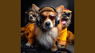 The Bark Rhythm