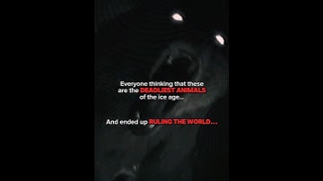 The worst animals to run into during the ice age #earlyhumans #prehistoric