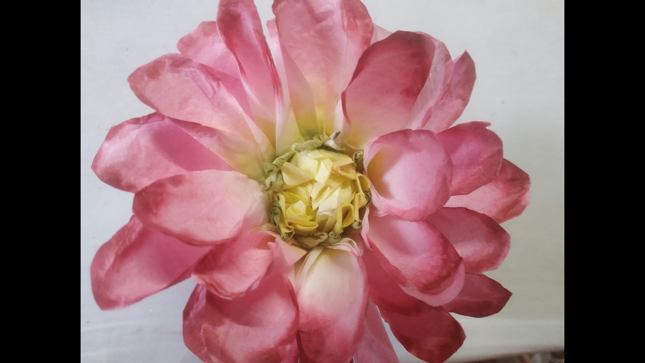 Beautiful DIY Paper Rose with Yellow Center | Easy Tutorial for Home Decor