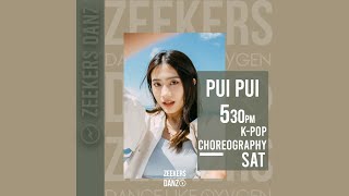 Party, Feel, Love - Hyuna (Feat. DAWN) / Pui Pui  Choreography