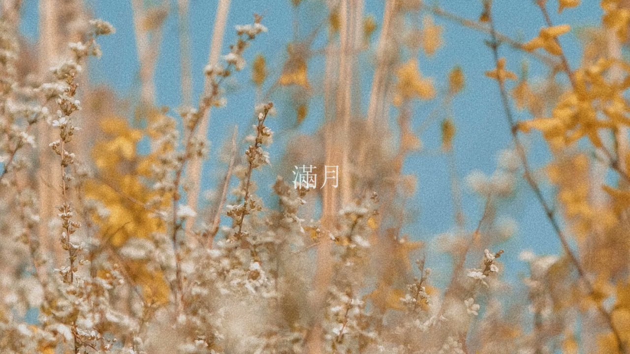 【𝐛𝐨𝐨𝐤𝐩𝐥𝐲】 달달 로맨스 소설 읽을 때 들으면 내가 바로 주인공 l BGM for Romance Story