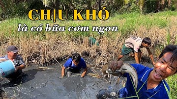 Bắt “Cá Lóc Đồng” về nấu canh chua và bữa cơm giản dị của người miền tây.Long Phú Quê Tôi #86