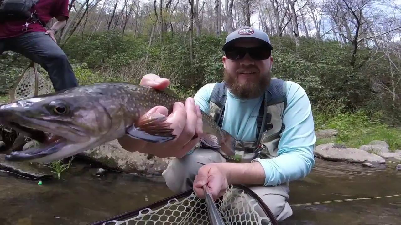 East Tennessee Fly Fishing YouTube