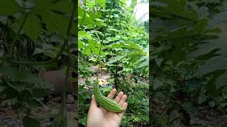 https://youtube.com/@marcuapmickay9265?si=GiNef1ZwOg5Fa9-n