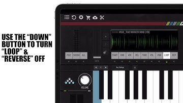 Chomplr Video Manual - Chapter 05 / Part 03 - Data Adjustment Buttons & Use Cases