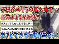 【2ch動物スレ】ゴリラの檻に子供が落ちてしまい、それに気付いた【ボスゴリラ】がまさかの行動をする！！！