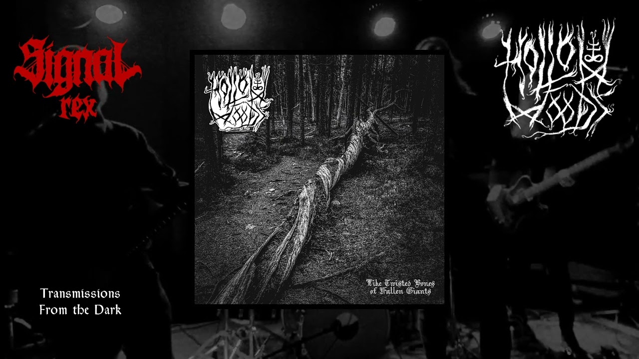 Hollow Woods - Night Burns Through (single, 2024)