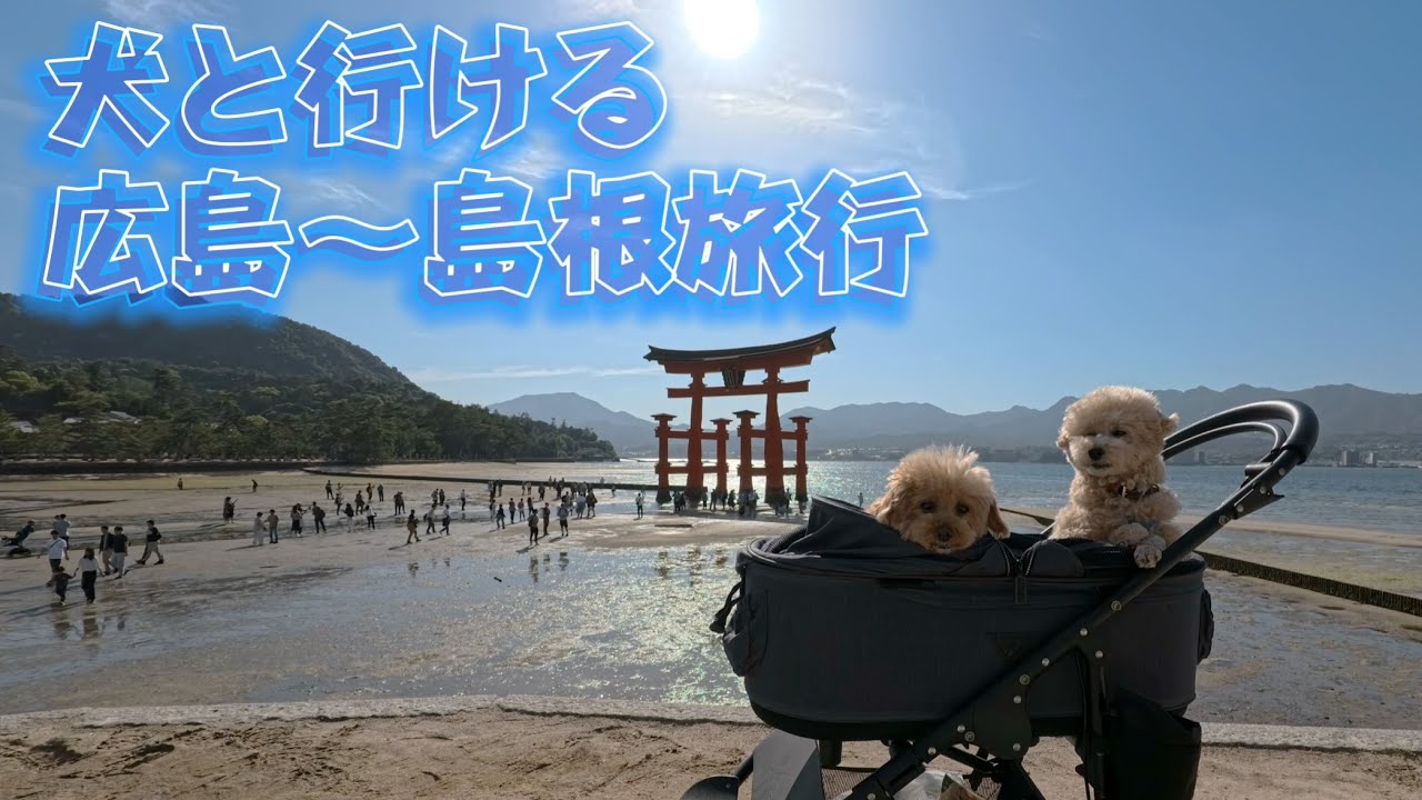 広島〜島根旅行【犬と旅】【犬と泊まれる宿】【犬と行ける場所】