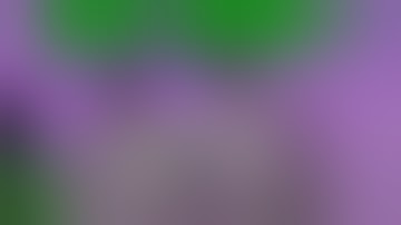 First Week In Deep Water Culter Hydroponics DWC