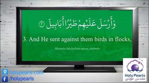 Quran 105   Surah Al Fil سورة الفيل   Sheikh Saud Ash Shuraim   With English Translation