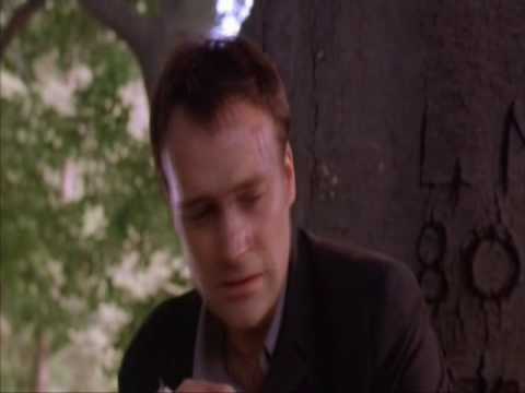 David Hewlett in Treed Murray part 5