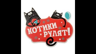 Котики рулят