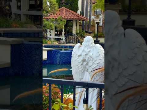 دله دیگه تکمیل شد عشق ابدی زن روز