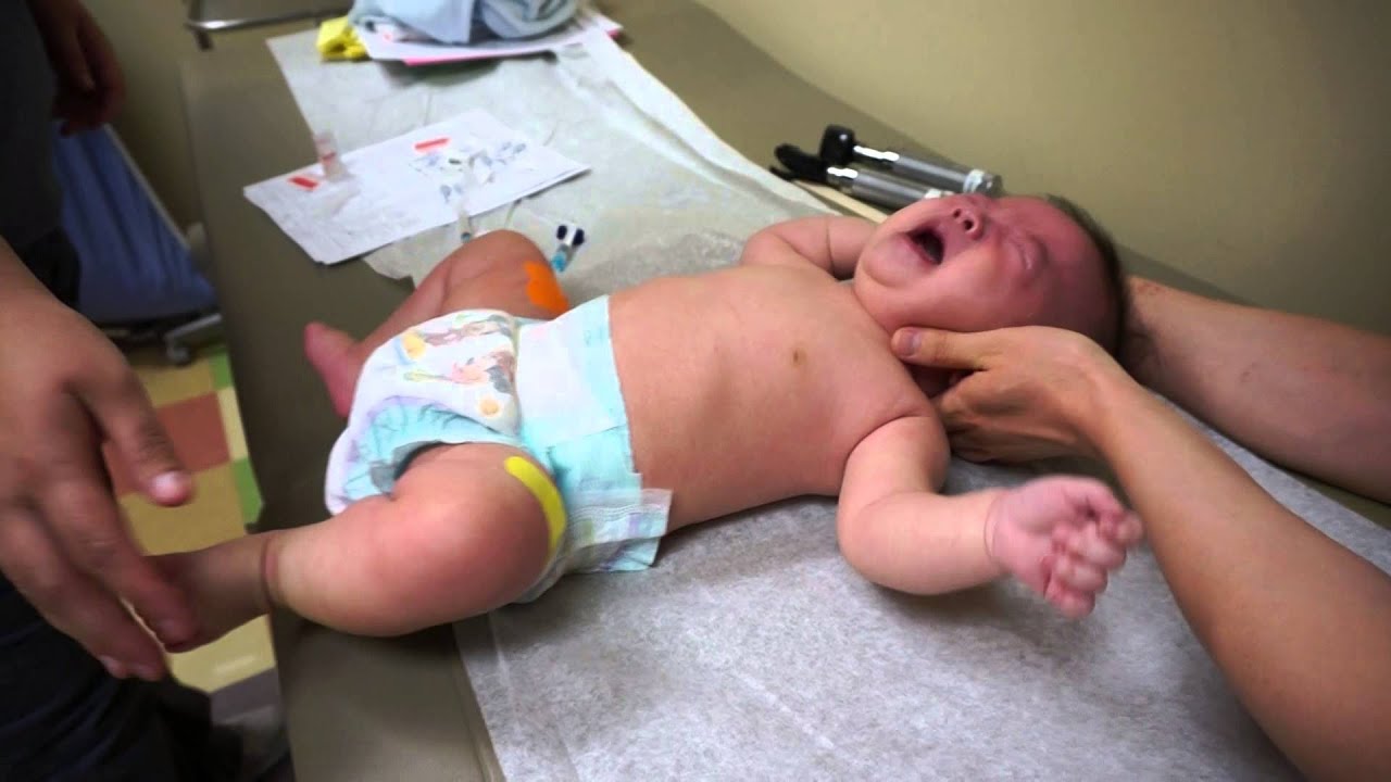 День, когда Сиву получил свою 4-месячную прививку