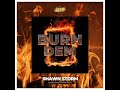 Shawn Storm Burn Dem Free Shawn Storm mp3