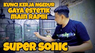 SUPER SONIC‼️DI SETTING RAWATAN