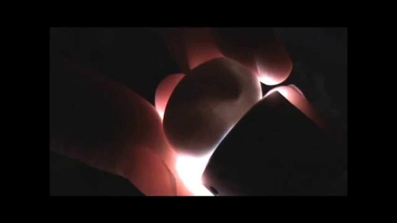 Crested Gecko Egg Candled While Hatching YouTube