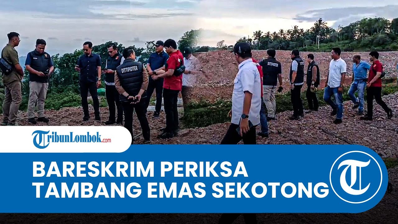 Bareskrim Turun Tangan, Periksa Saksi hingga Sita Alat Berat Tambang Emas