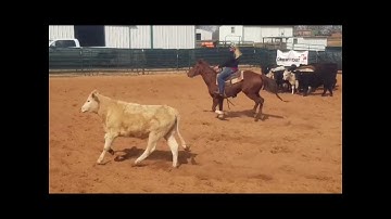 Yada Yada Boon - 2015 AQHA Mare