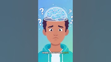 Why Your Brain Forgets And How To Fix It
