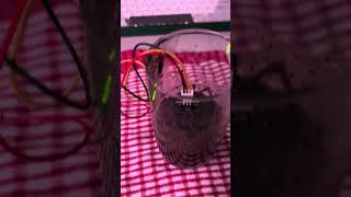 SIT111: Task 3.4P - Arduino Control using Sensors