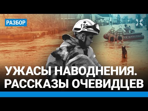 Россия тонет. Мародеры бесчинствуют в зоне наводнения