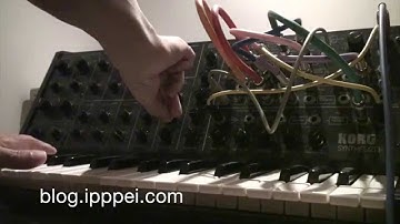 Korg MS-20 wobble loop #korgms20