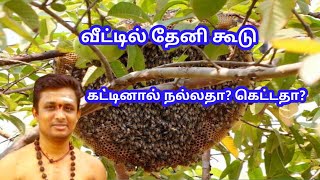 வீட்டில் தேனி கூடு கட்டினால் நல்லதா? கெட்டதா?