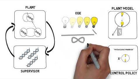 Control Laws for Gene Regulatory Networks
