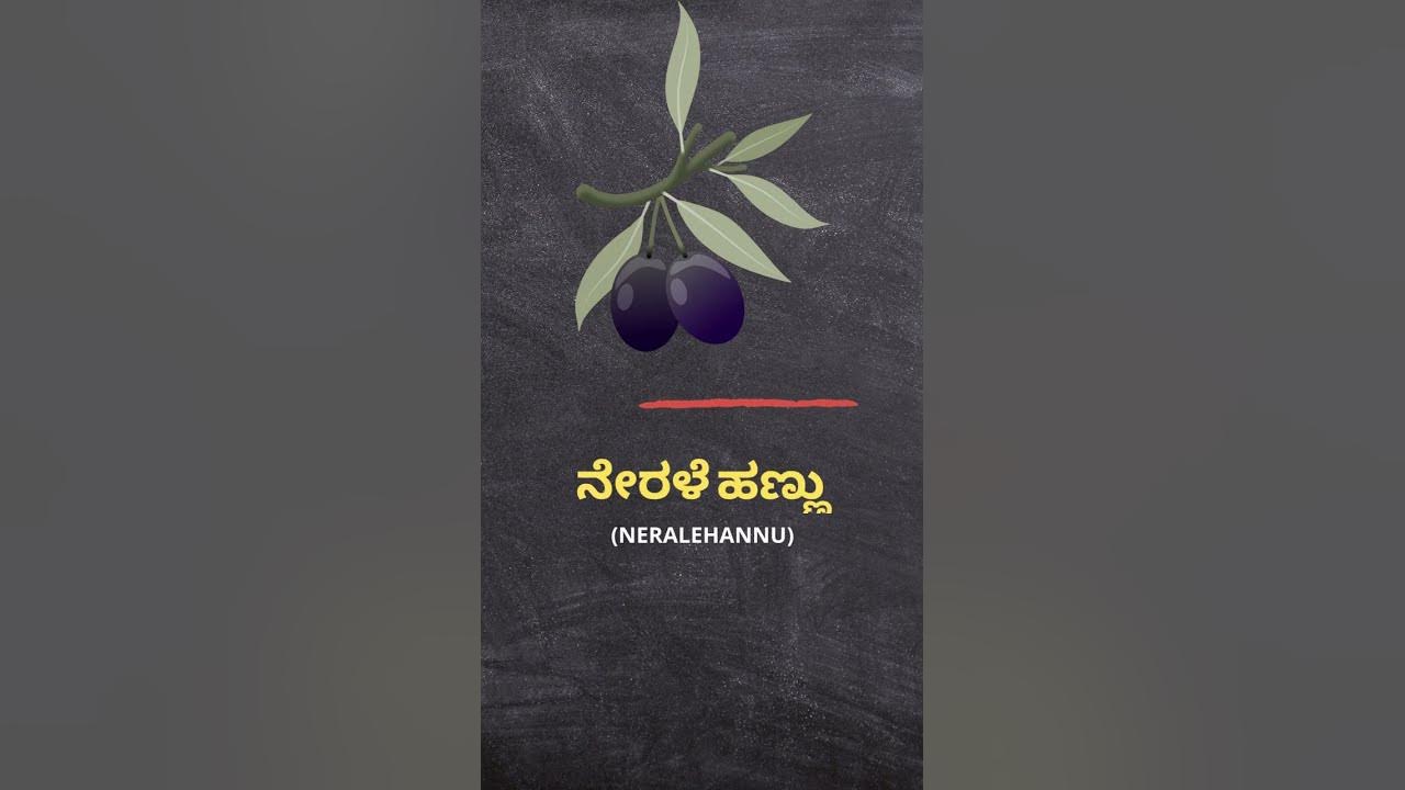 ನೇರಳೆ ಹಣ್ಣು (neralehannu) = Java Plum Kannada to English YouTube