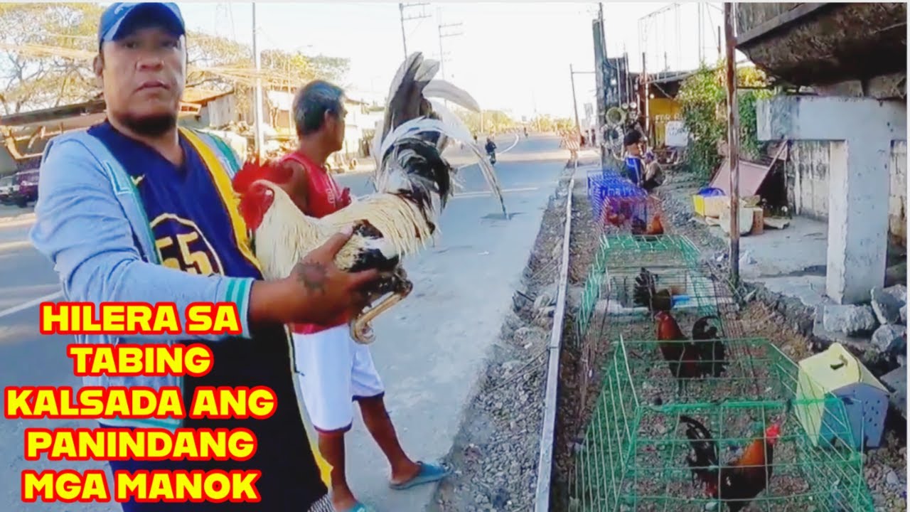 HILERA SA TABING KALSADA ANG PANINDANG MGA MANOK