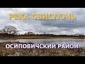 Небольшой обзор СВИСЛОЧИ без комментариев 2020 | Рыбалка в Беларуси | Fishing in Belarus