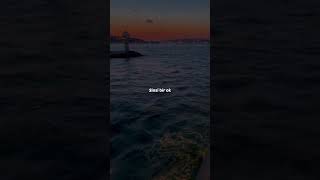 Cihan Mürtezaoğlu - Bir Beyaz Orkide