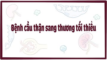 Bệnh cầu thận sang thương tối thiểu