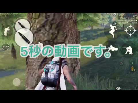 【荒野行動】スランプ中の雑魚の貴重な1キル【5秒動画】