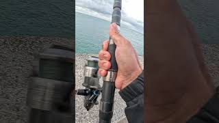 Bream &amp; dogz 🥴🐶😄 #fishing #fish #outdoors #ocean #fishingtips #angler #pinoyfishing #angling