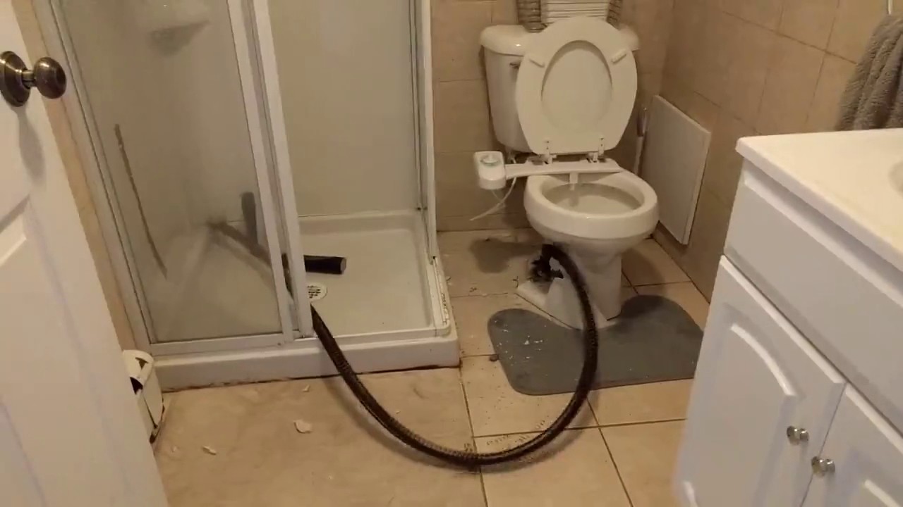 plumber snake