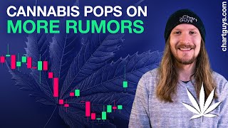 Cannabis Stocks Rally!