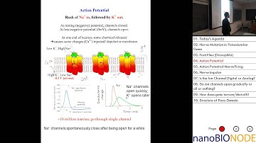 Biophysics 401 Lecture 24: Ion Channels III