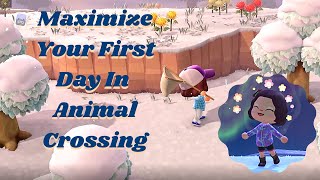 Things To Do In Animal Crossing New Horizons When You First Start Animal Crossing Walkthrough