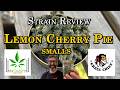 Strain Review - Lemon Cherry Pie smalls - Grass Chief