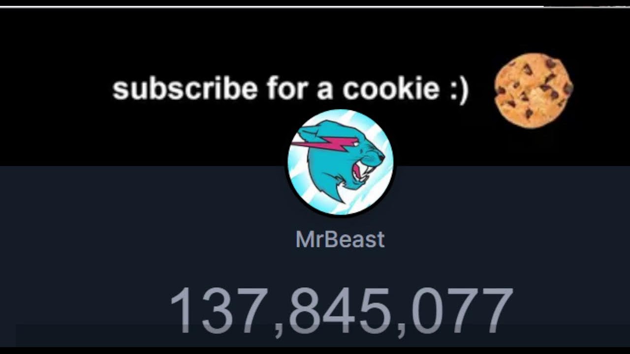 Mr Beast Live subscriber count YouTube