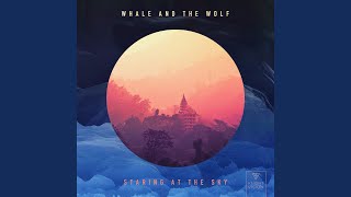 Video thumbnail of "Whale & The Wolf - Staring At The Sky"