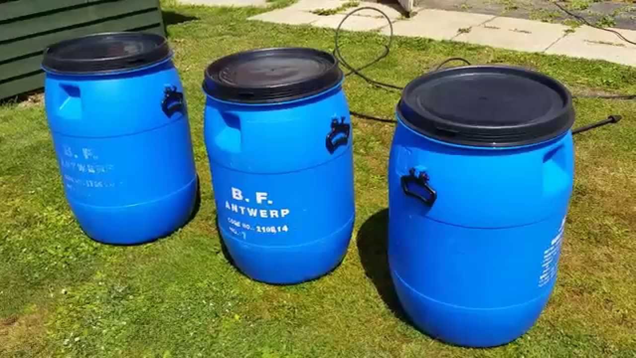 Сортировка водорослей, лилии с затонувшего судна «Кои», модернизация скиммера и краткий обзор нов...