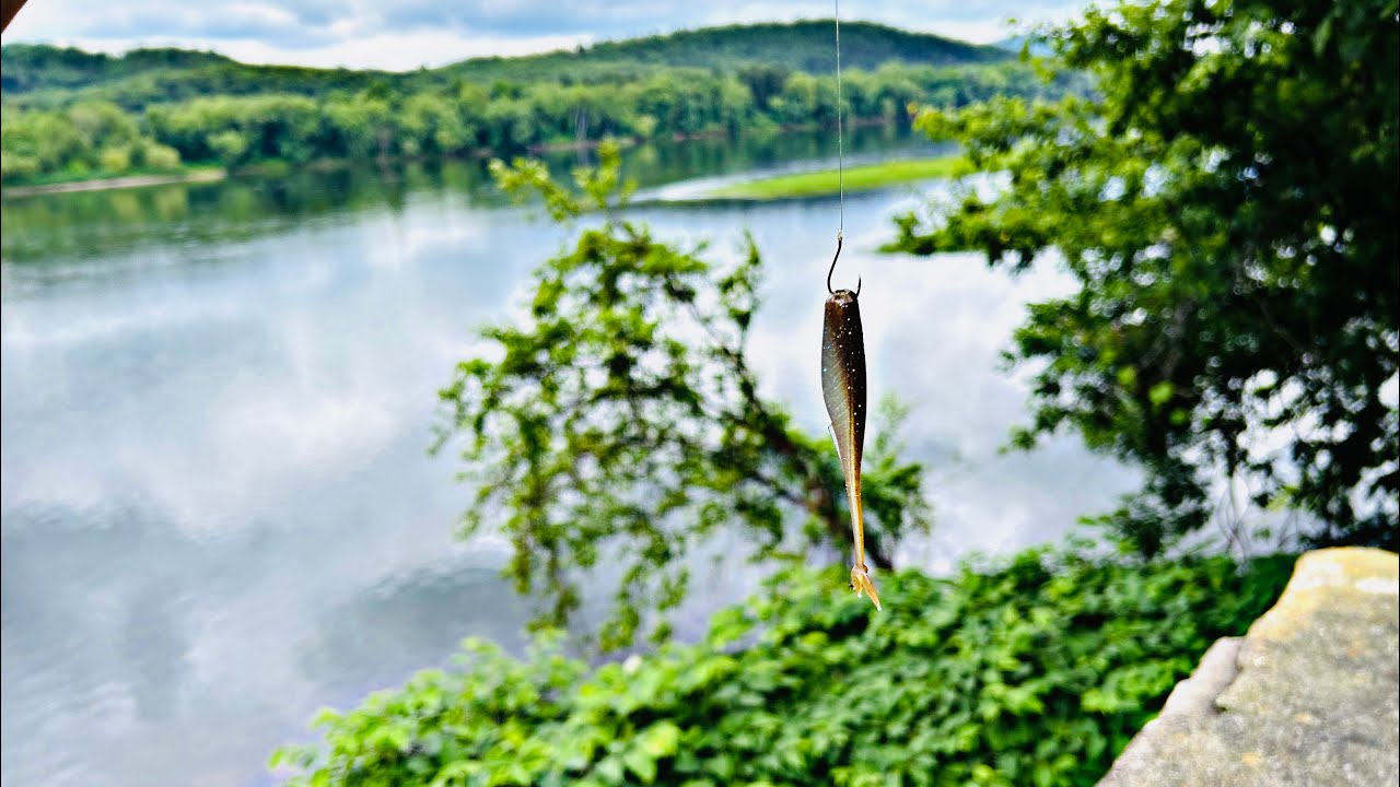 THIS RIGGING CHANGED HOW I FISH WEIGHTLESS MINNOWS!!!(Smallmouth Fishing)