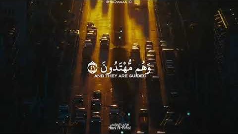 قرآن راحة نفسية🌼| القارئ هاني الرفاعي ||قرأن حالات واتس اب 🖤| ستوري أنستغرام قران | مقاطع قرأن قصيرة