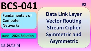 Data Link Layer | Distance Vector Routing | Stream Cipher | Symmetric and Asymmetric | BCS-041 | #2