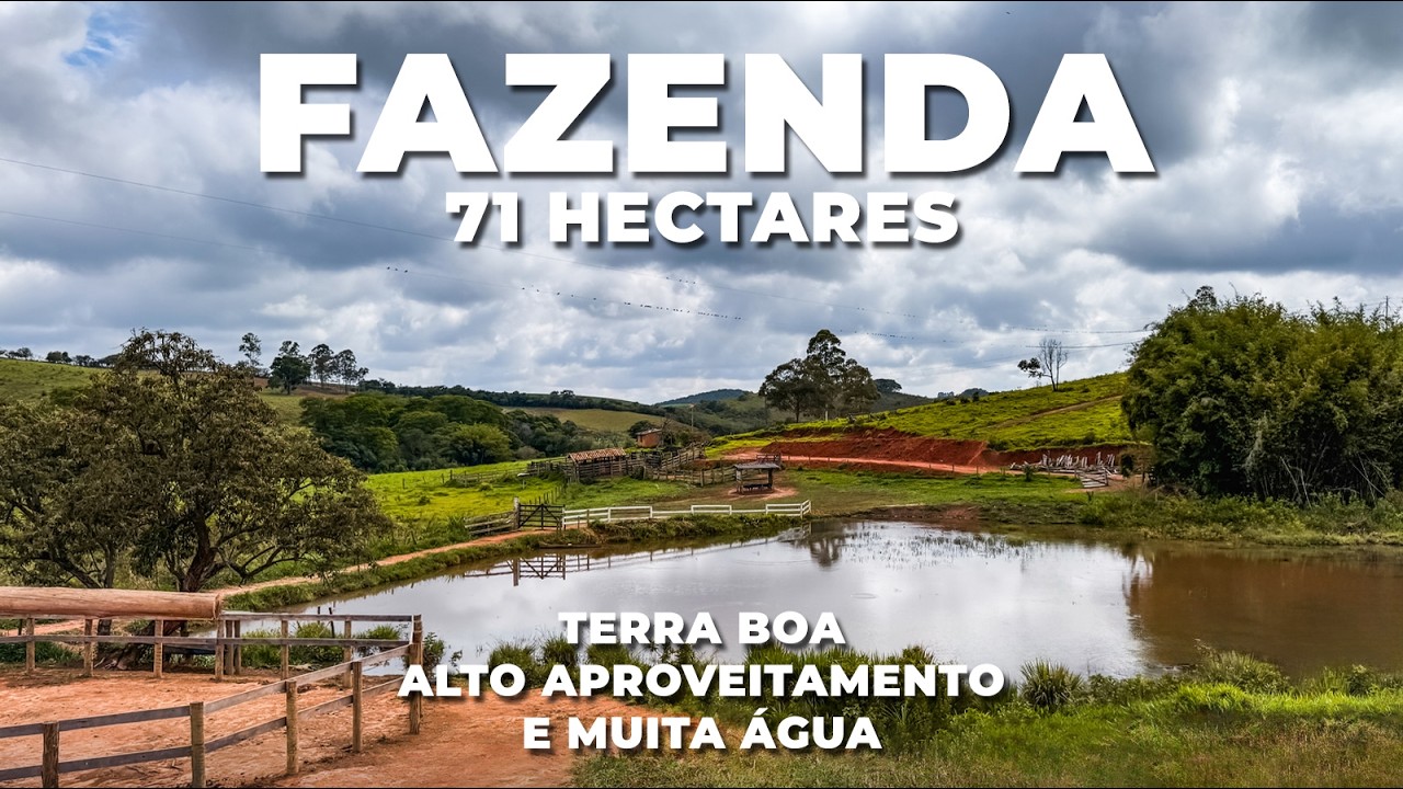 FAZENDA 71 HECTARES, TERRA DE CULTURA E MUITA ÁGUA | R$ 2.300.000,00