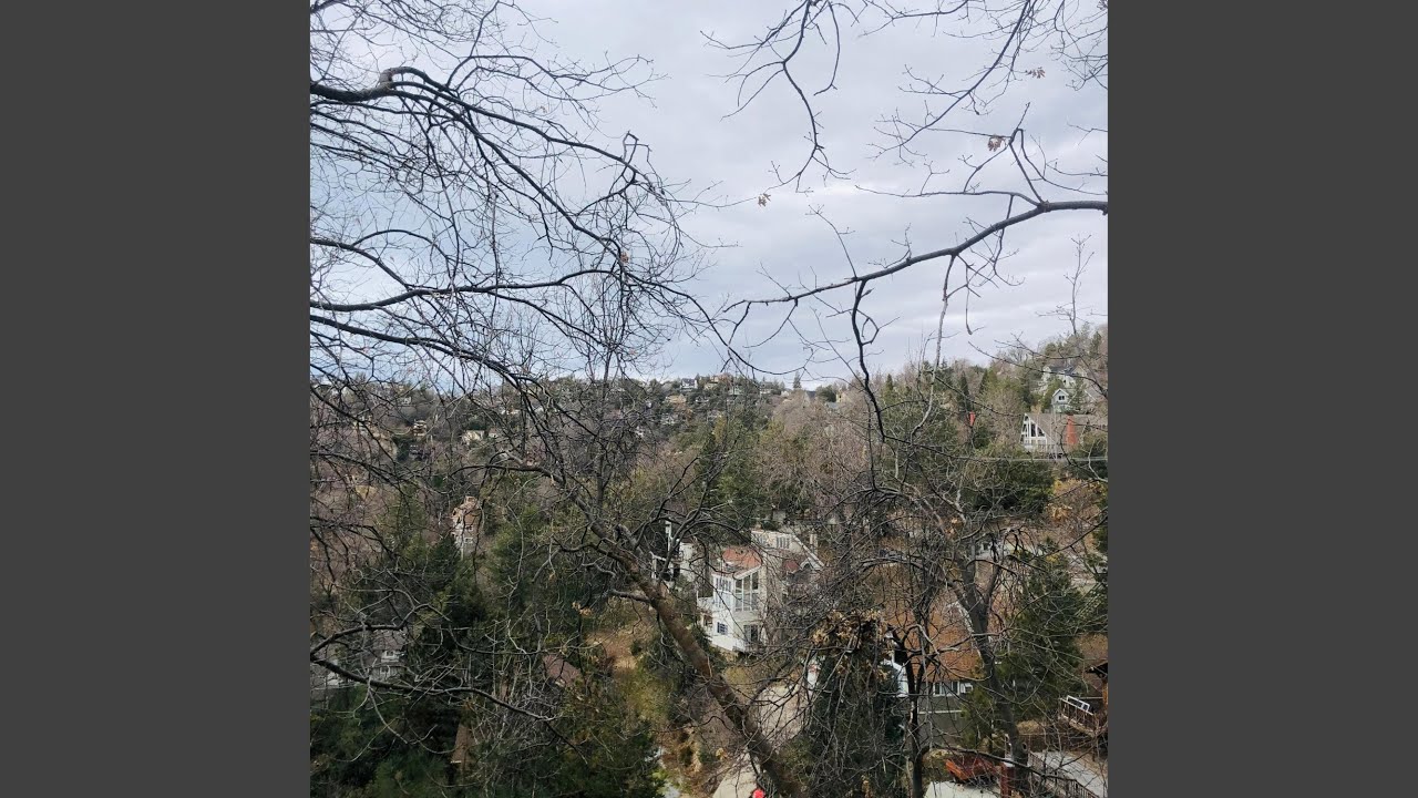 Robas Mi Atención (Instrumental)